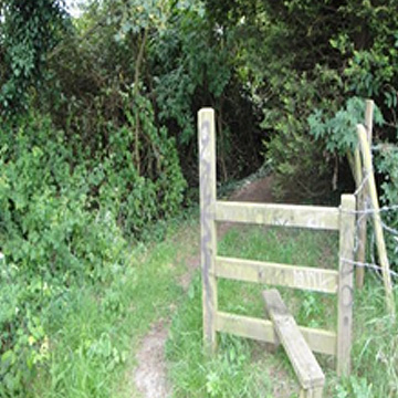 Suzanne’s Field / FP5-Burnham Road