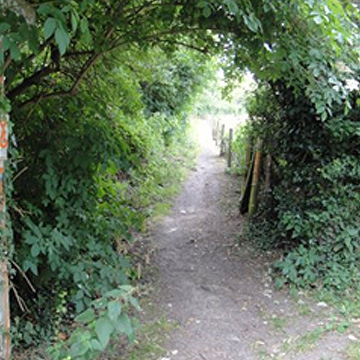 Suzanne’s Field / FP5-Burnham Road