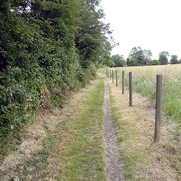 Suzanne’s Field / FP5-Burnham Road