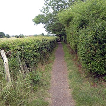 Footpath 12 – Keswick