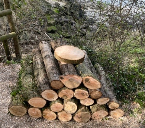 Pile of Logs
