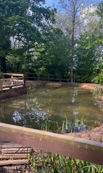 Pond
