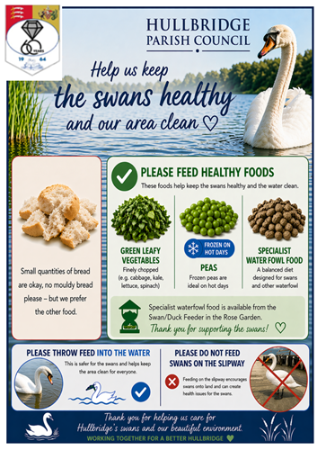 Feeding guide for Swans